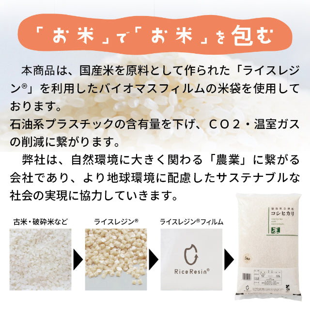 【令和7年産】会津産 コシヒカリ