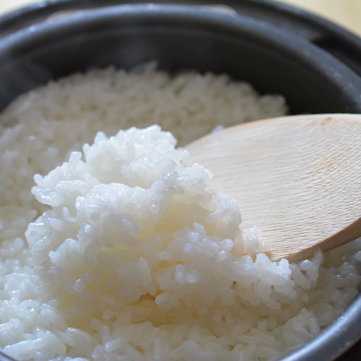 食材しのやのこだわり農産物ボックス - ふくしま市場｜福島県産品オンラインストア