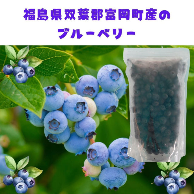 即冷凍フルーツ　ブルーベリー