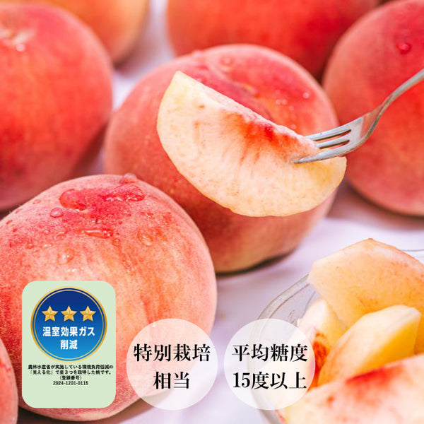 【予約受付】ふくしまからの贈り桃 プレミアム 2kg(7月下旬から9月上旬順次お届け）