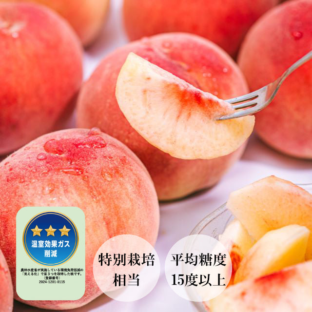 【予約受付】ふくしまからの贈り桃 プレミアム 2kg(7月下旬から9月上旬順次お届け）