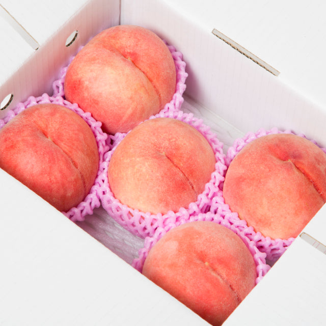 【予約受付】白桃〈品種指定不可〉 1kg