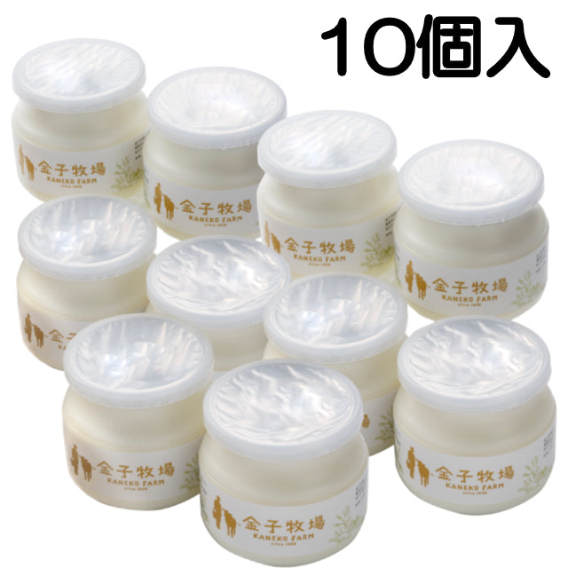 ゴールデンヨーグルト270ｇ 10個入りセット（ご自宅用簡易包装）