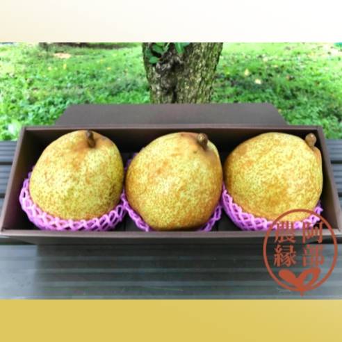 阿部農縁　福島県産ゼネラル・レクラーク　【配送日指定不可・10月中旬から下旬発送】