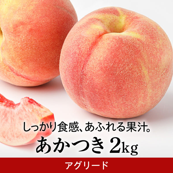 木村さんたちの桃　あかつき【7月下旬～8月上旬 発送予定】
