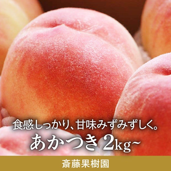 斎藤果樹園のあかつき【のし不可／日時指定不可・7月下旬～発送】