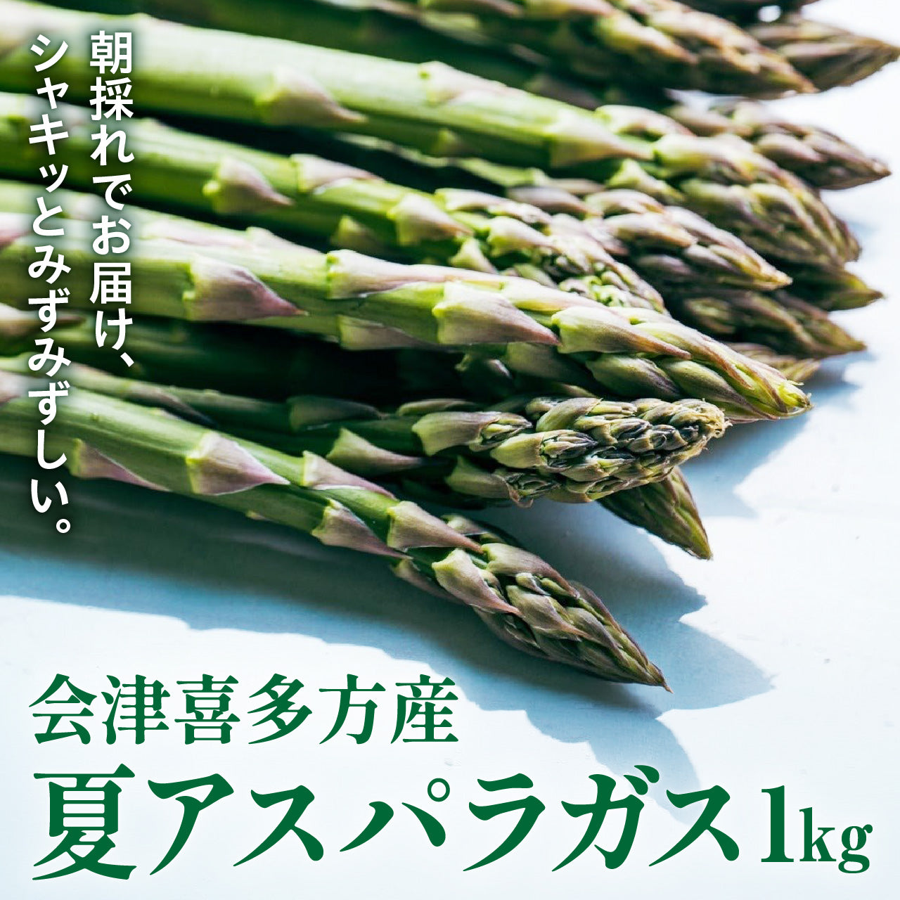 【夏アスパラ】会津喜多方産アスパラガス（9月下旬頃まで／順次発送）