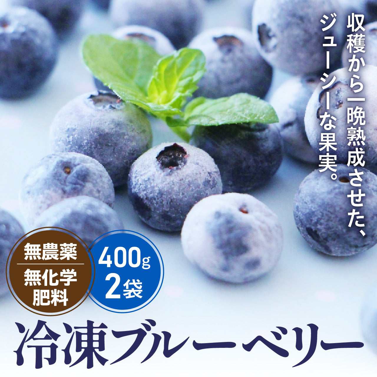冷凍ブルーベリー