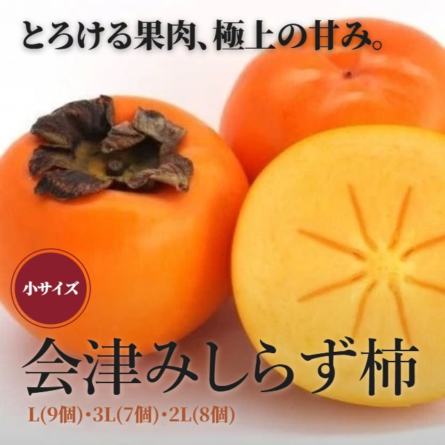 【期間限定】会津みしらず柿（小）