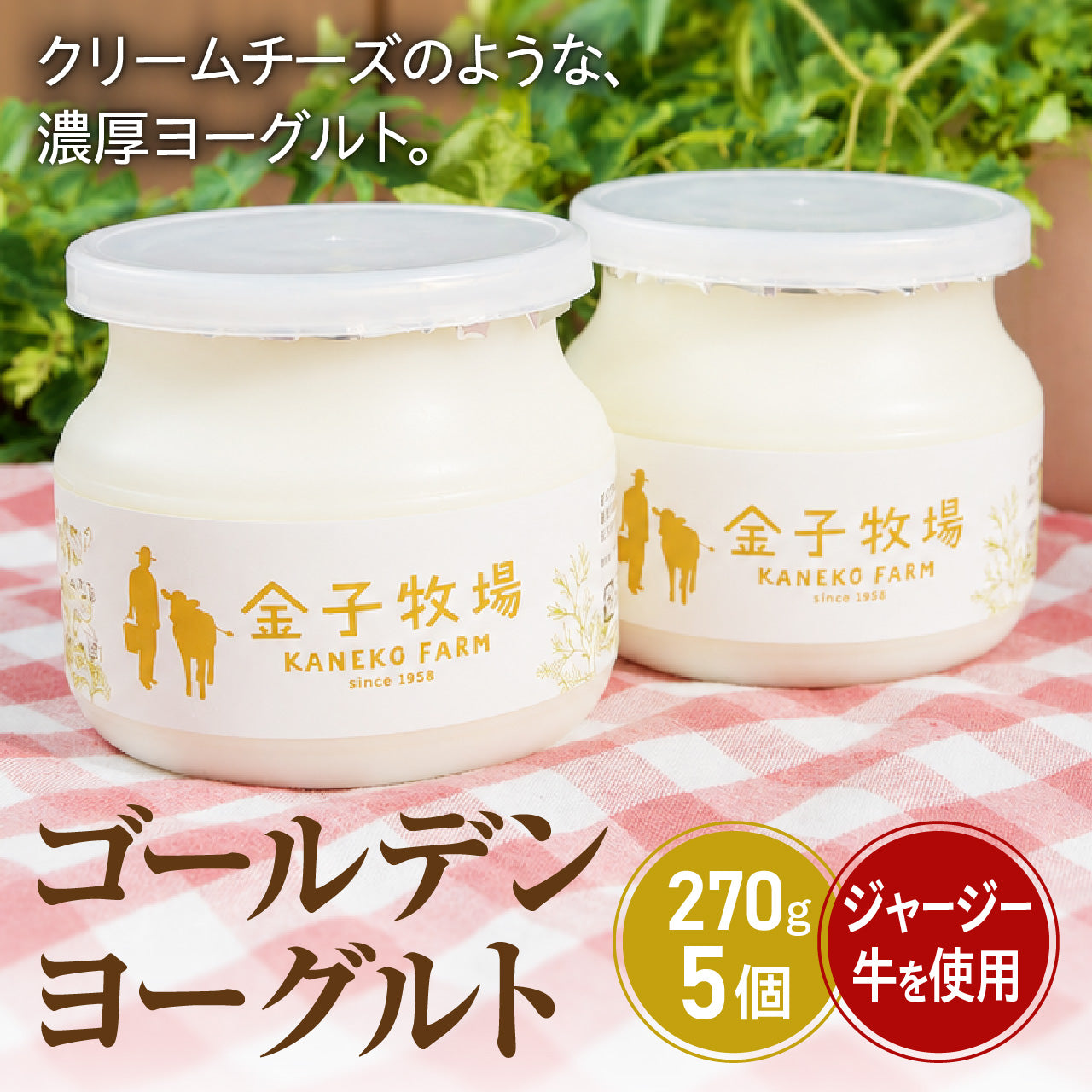 ゴールデンヨーグルト270ｇ 5個入りセット
