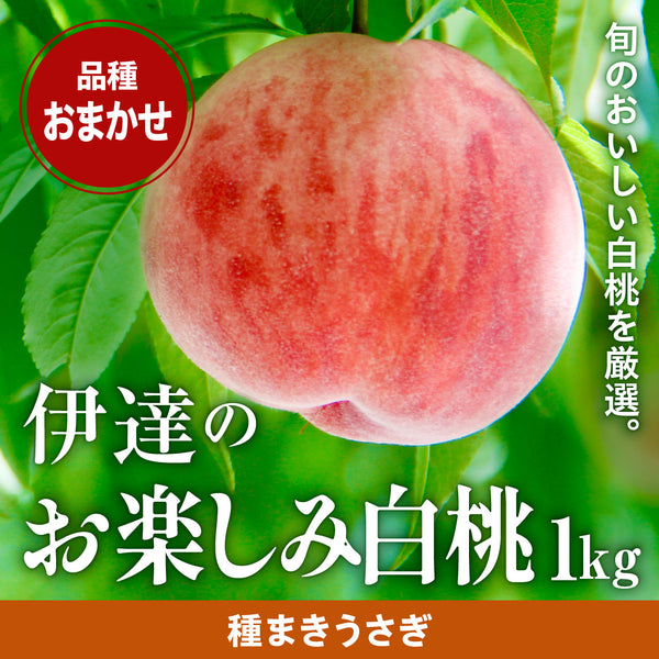 7月上旬より順次発送】白桃 1㎏〈品種指定不可〉
