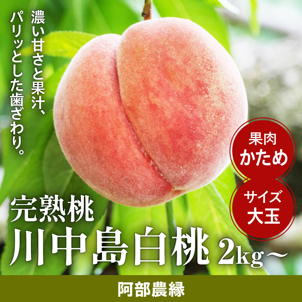 阿部農縁の完熟桃 川中島白桃 2kg・3kg【配送日指定不可・8月中旬～発送】