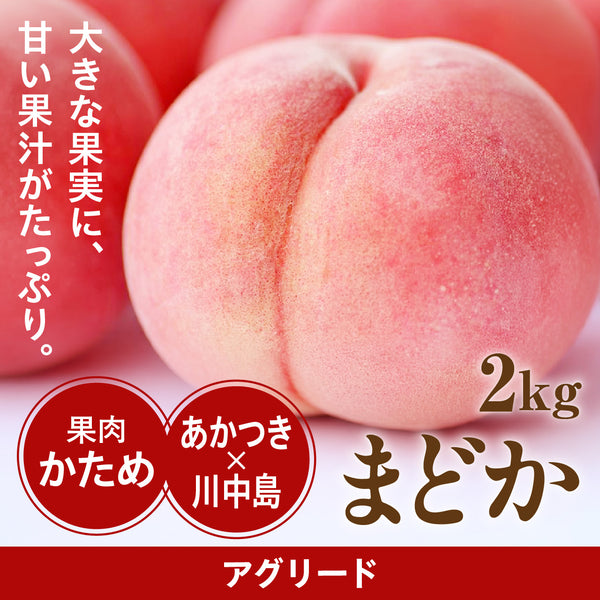 木村さんたちの桃 まどか【8月上旬以降発送・日時指定不可】