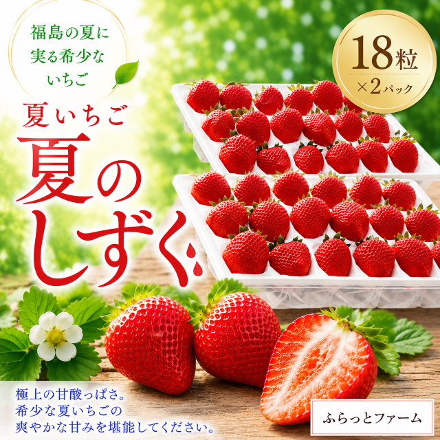 【田村市】夏いちご「夏のしずく」（お届け日のご指定・のし不可）