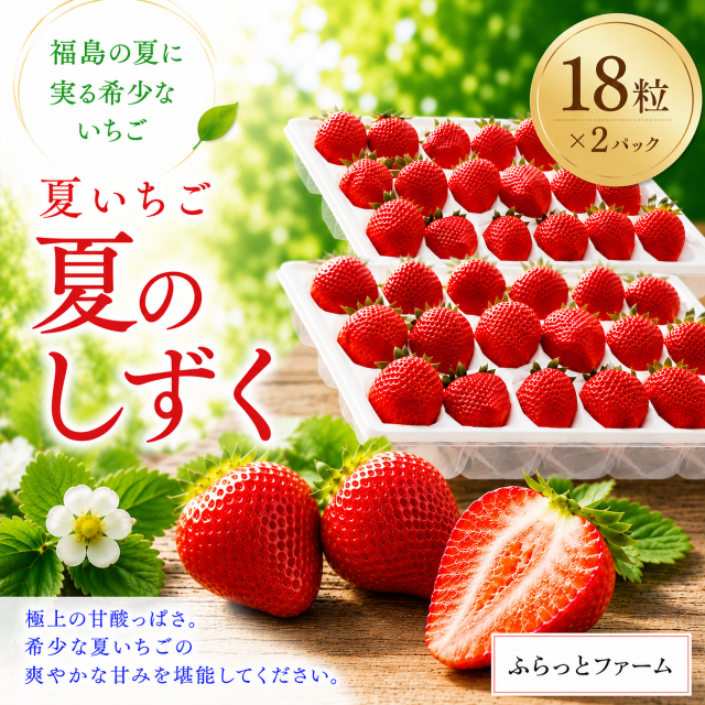 【田村市】夏いちご「夏のしずく」（お届け日のご指定・のし不可）