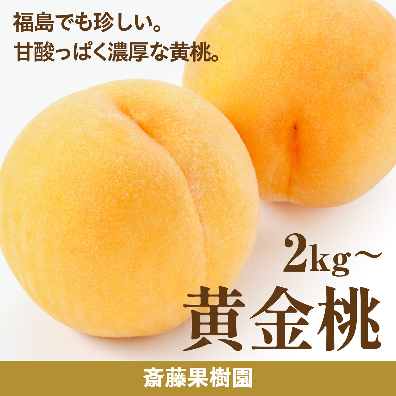 斎藤果樹園の黄金桃 【8月下旬～9月初旬発送／配送日指定・熨斗掛け不可】