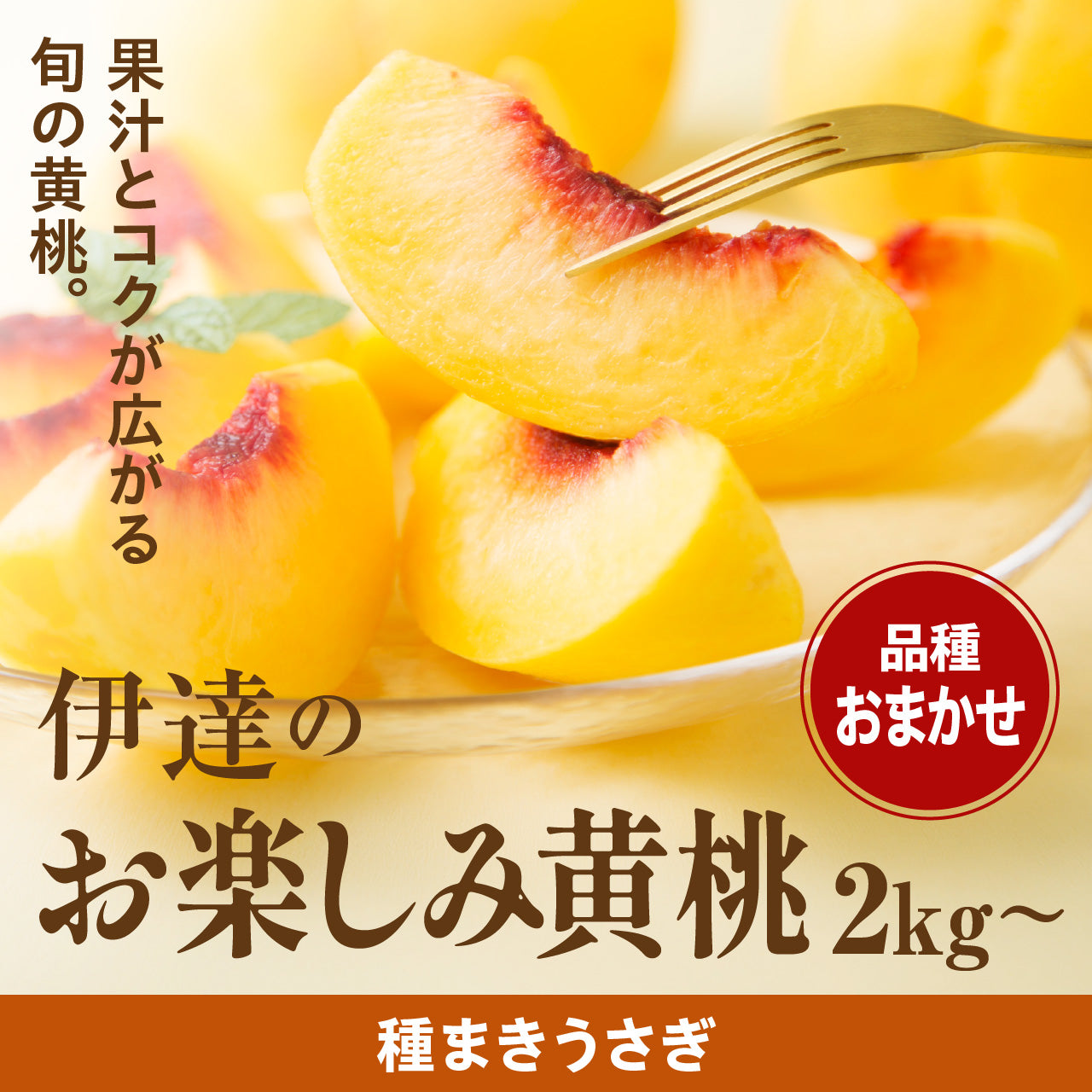 【予約受付】伊達のお楽しみ黄桃〈品種指定不可〉 2kg/3kg（8月下旬から順次発送）