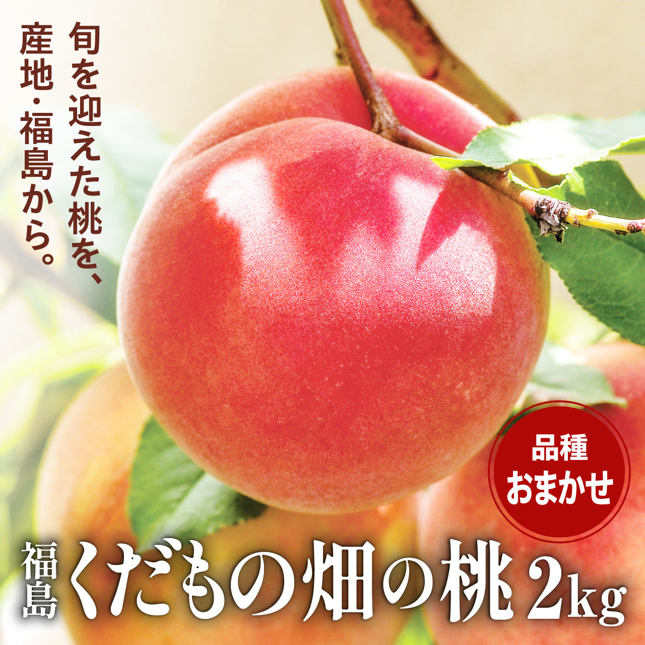 福島くだもの畑の桃 2kg 【品種・配送日指定不可】
