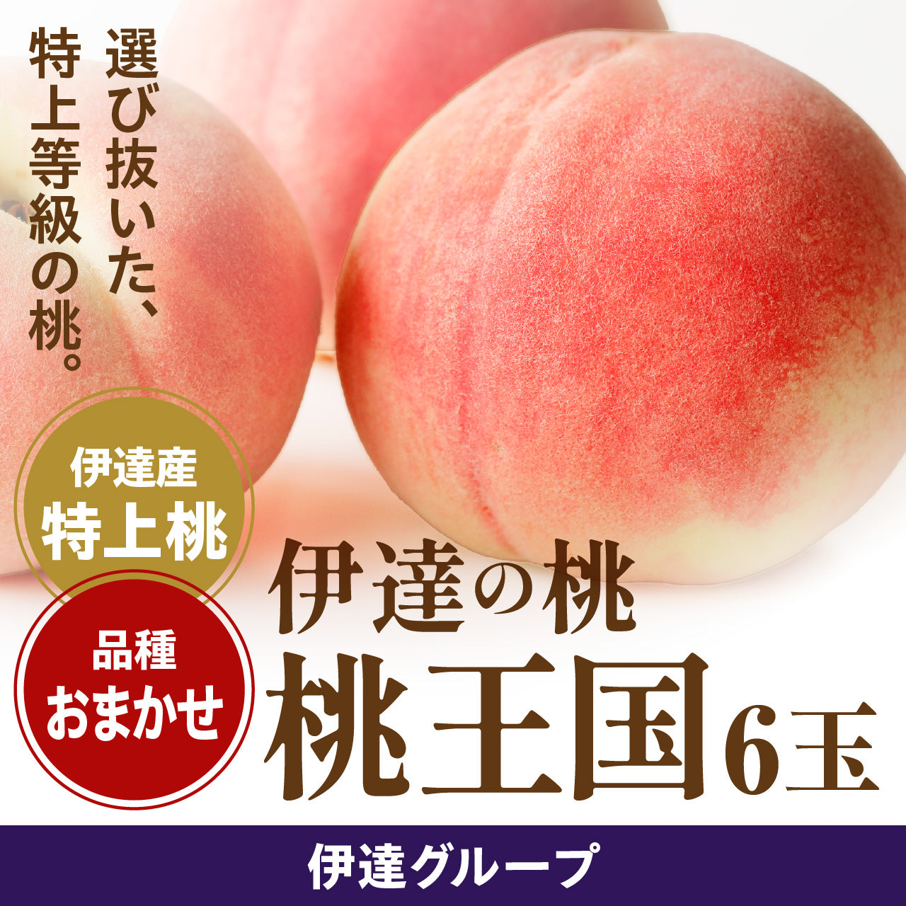 【予約受付】伊達の桃 桃王国 ６玉入　【7月下旬頃～順次発送開始予定】