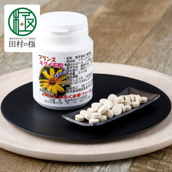 ☘️フランス菊芋ショップ　ウッチャン☘️ 食品乾燥機 TM-4355 product-