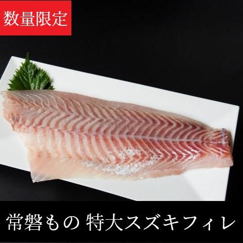 【完売御礼】常磐もの 特大スズキフィレ - ふくしま市場｜福島県産品オンラインストア