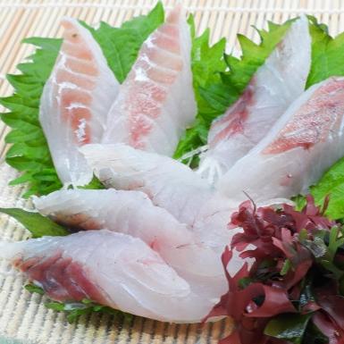 【数量限定】常磐もの 特大スズキフィレ - ふくしま市場｜福島県産品オンラインストア