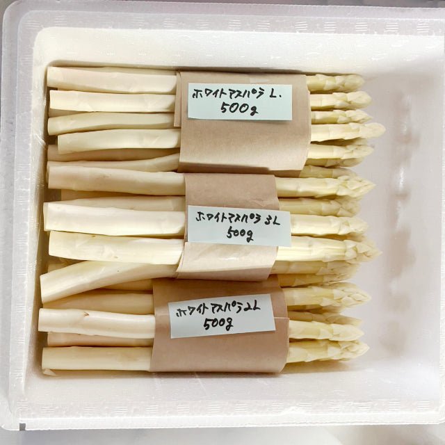 会津喜多方産ホワイトアスパラガス - ふくしま市場｜福島県産品オンラインストア