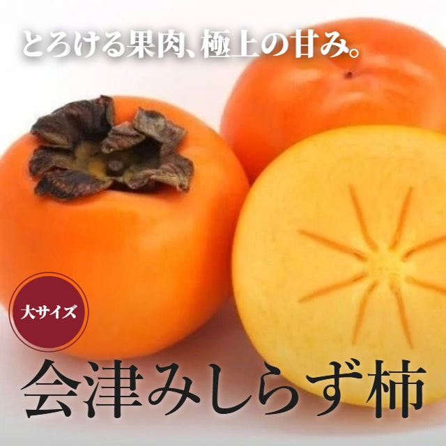 【期間限定】会津みしらず柿（大）5kg