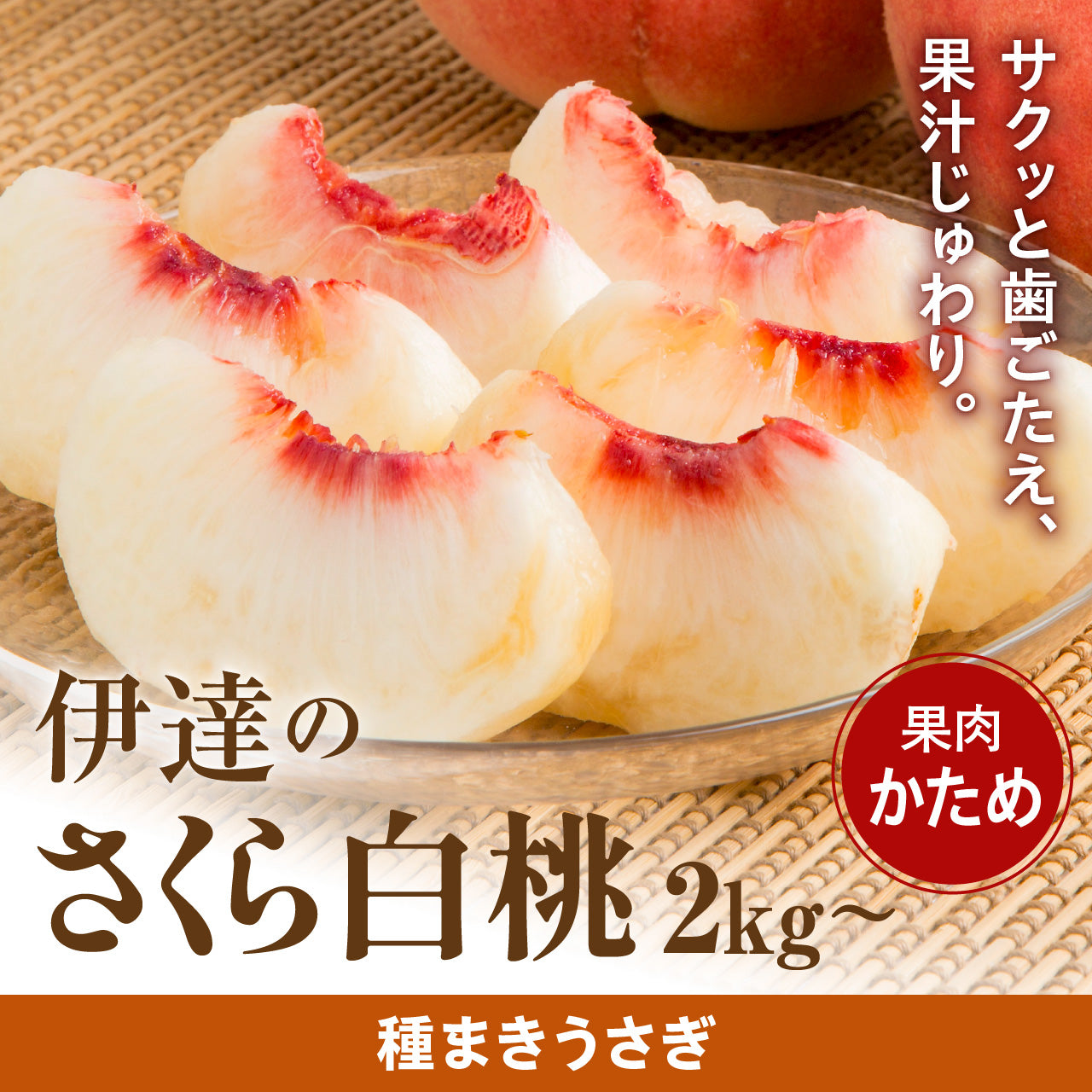 予約受付】伊達のさくら白桃（9月上旬から順次発送）