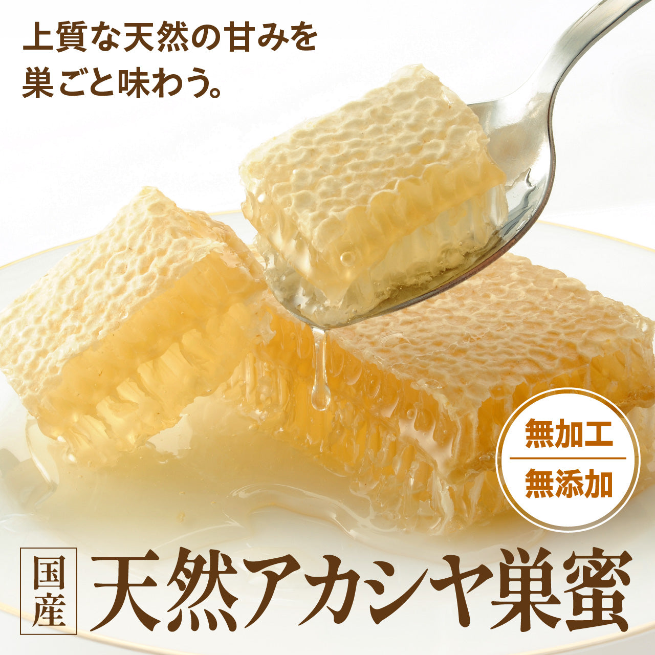 国産　天然アカシヤ巣蜜