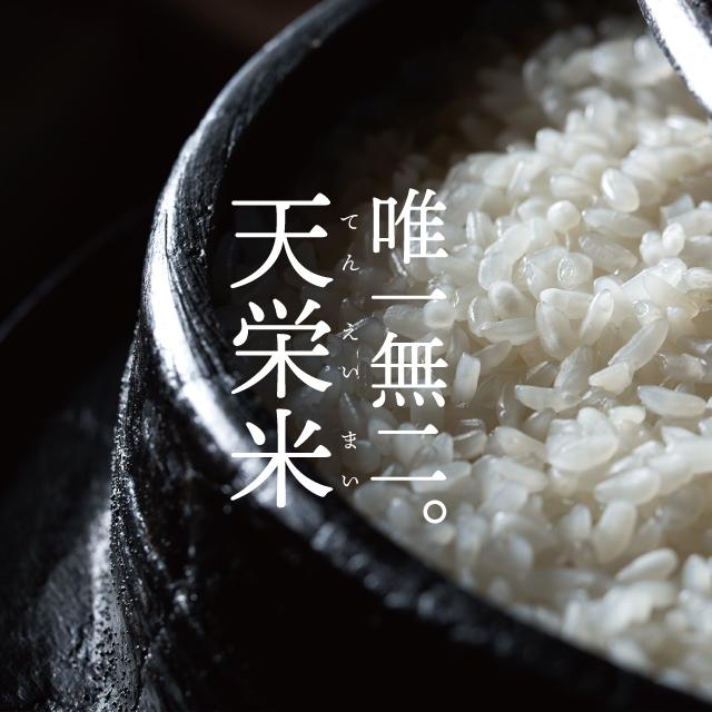 天栄米ゆうだい21 5kg - ふくしま市場｜福島県産品オンラインストア