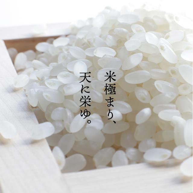 天栄米ゆうだい21 5kg - ふくしま市場｜福島県産品オンラインストア