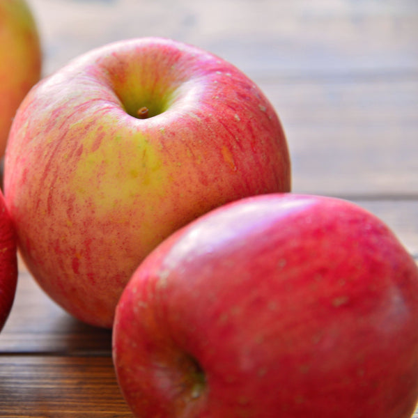 予約受付】木村さんたちのりんご サンふじ3kg