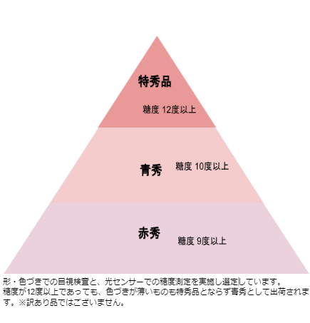 【予約販売】ふくしまの桃 あかつき 秀・青秀 5kg【日時指定不可・7月下旬～順次発送】 - ふくしま市場｜福島県産品オンラインストア