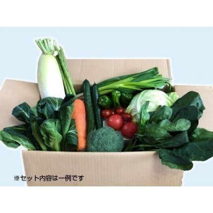 季節の会津野菜セット（小）