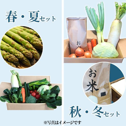 季節の会津野菜セット または 会津のお米＋野菜セット（大）定期便（5回）