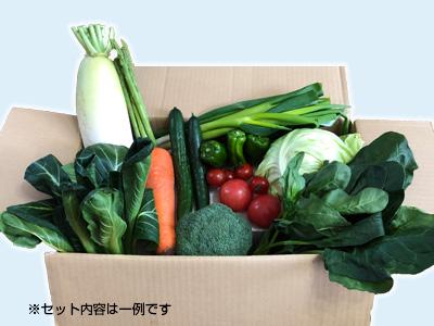 西会津ミネラル野菜セット - ふくしま市場｜福島県産品オンラインストア