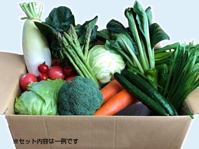 西会津ミネラル野菜セット - ふくしま市場｜福島県産品オンラインストア